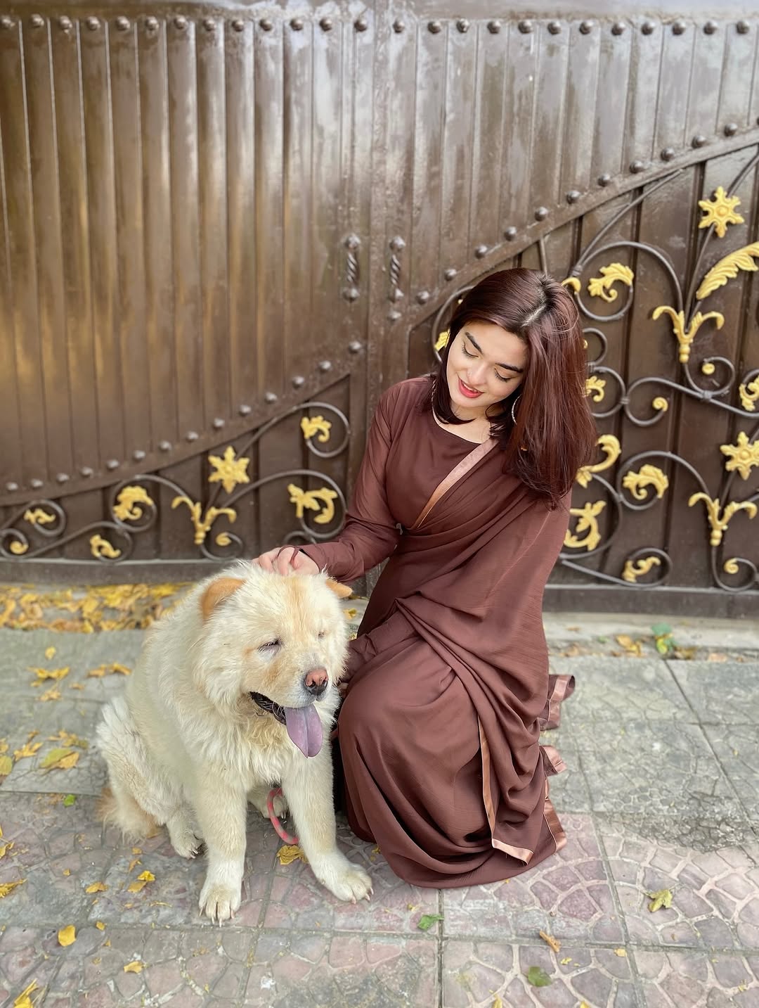 ET-MOCHA BROWN-SAREE