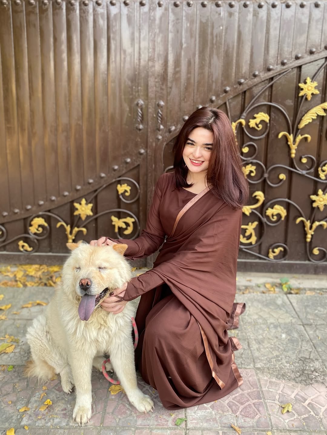 ET-MOCHA BROWN-SAREE